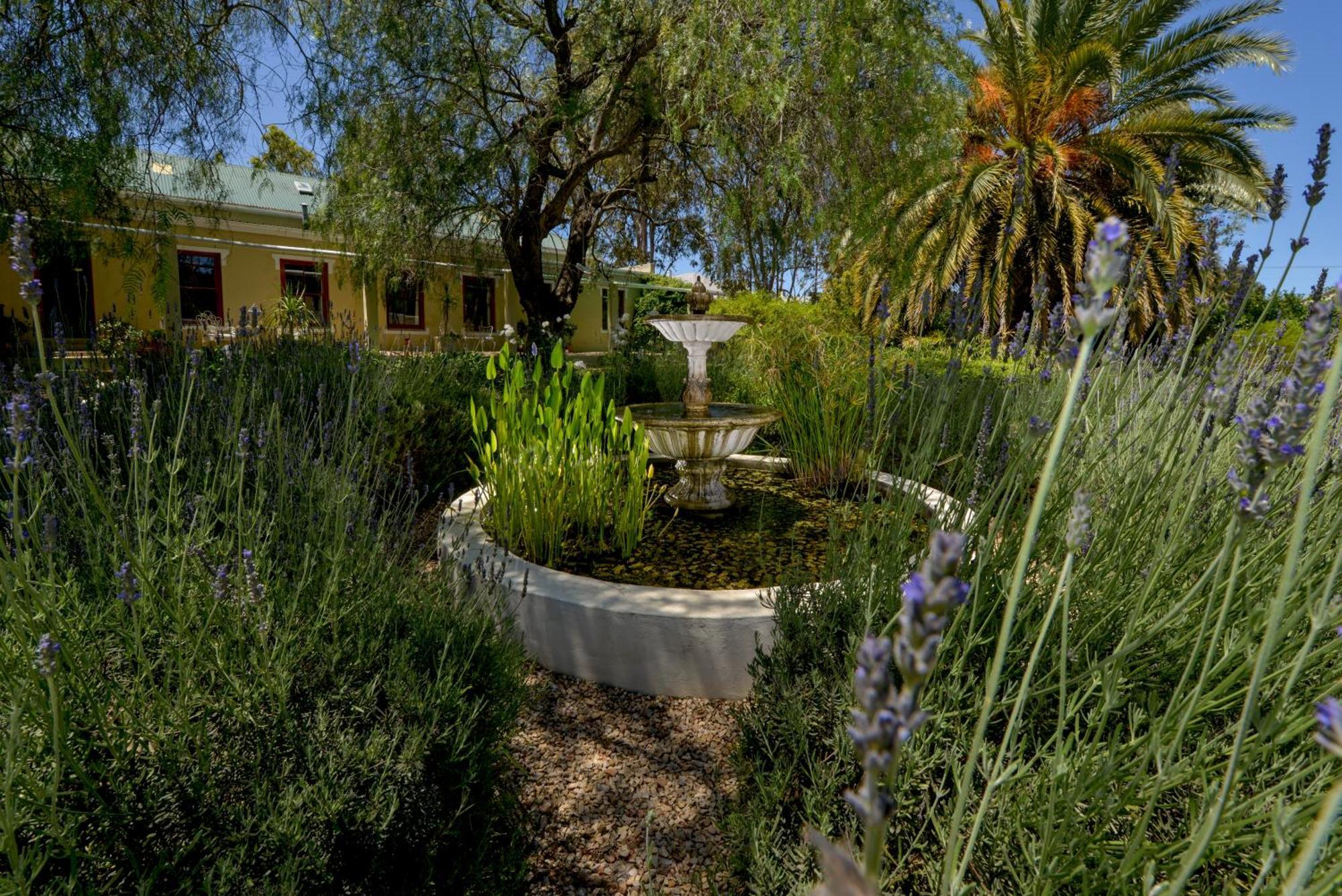Darling Lodge Guest House Εξωτερικό φωτογραφία